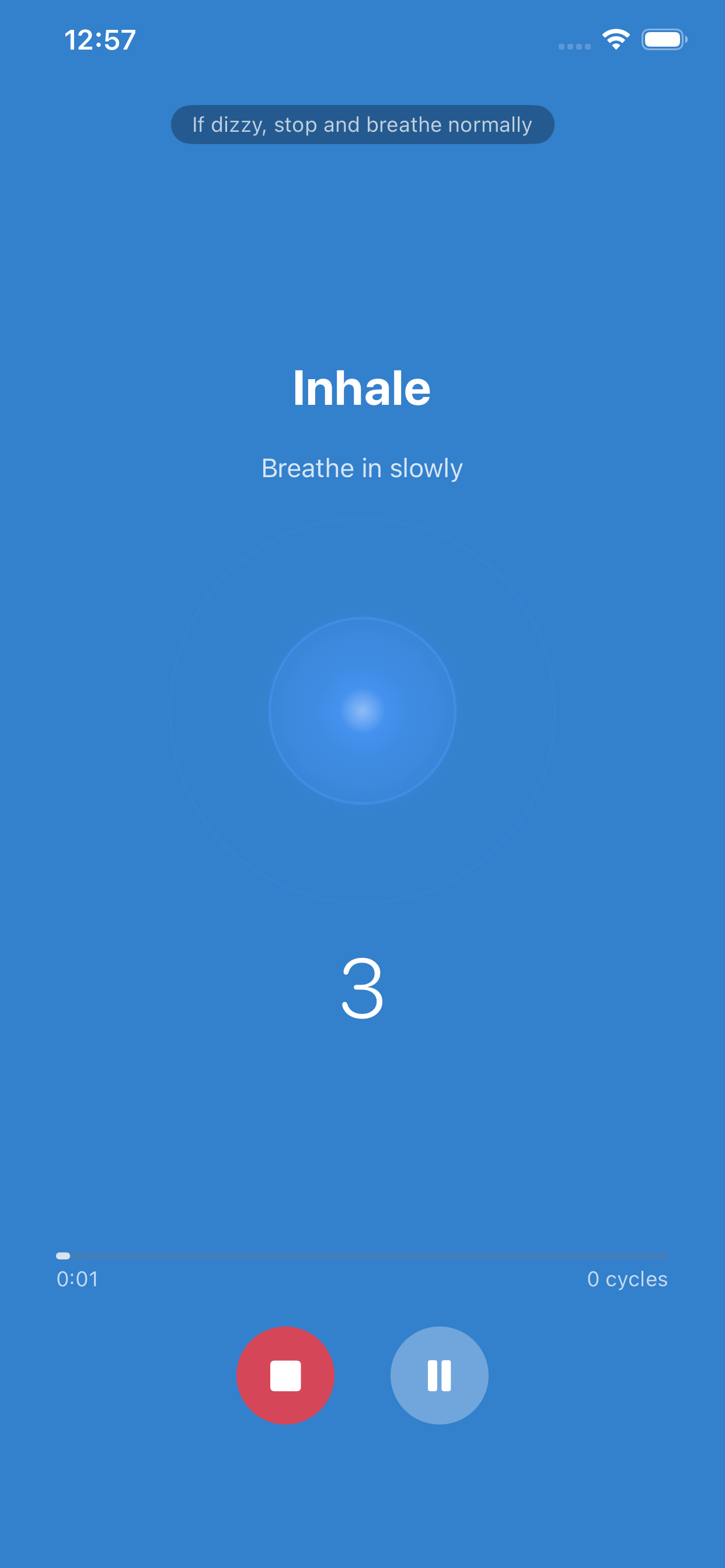 Active breathing session with visual pacer